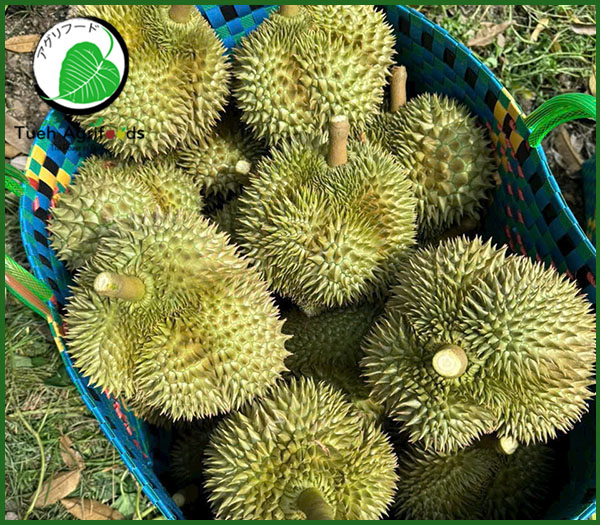 Durian