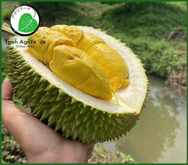 Durian