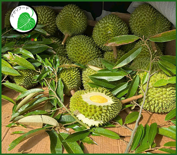 Durian