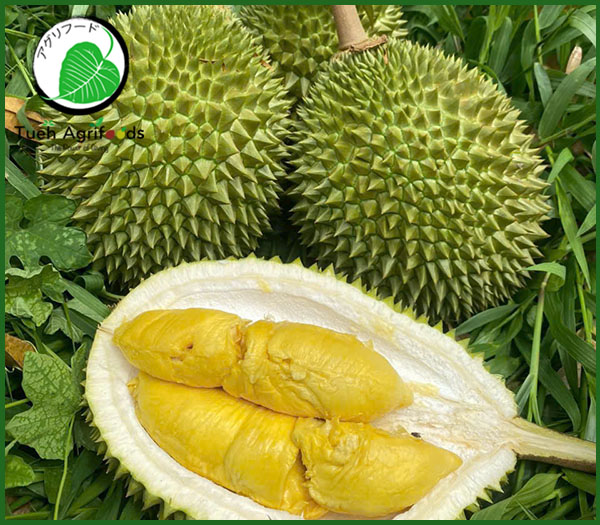 Durian