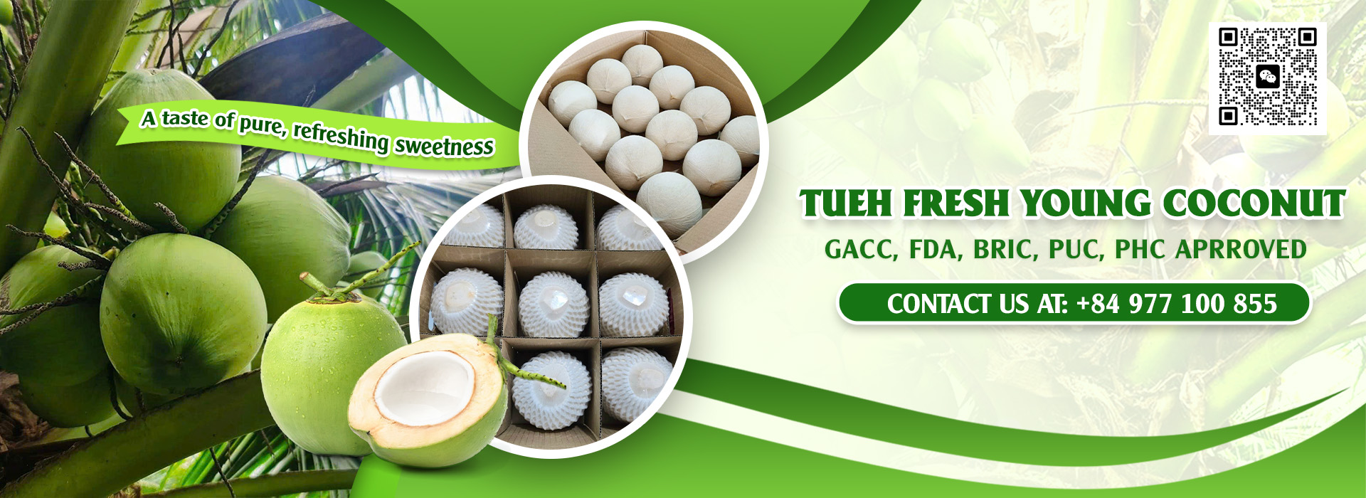 <b>TUE HUONG EXIMPORT CO., LTD</b><b>