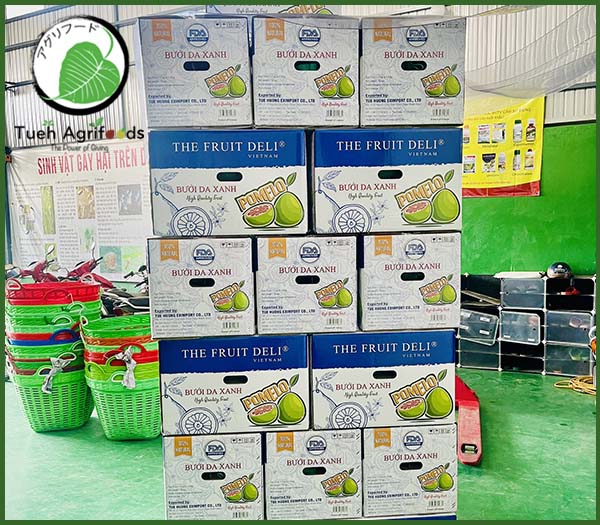 <b>TUE HUONG EXIMPORT CO., LTD</b><b>