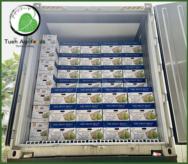 <b>TUE HUONG EXIMPORT CO., LTD</b><b>