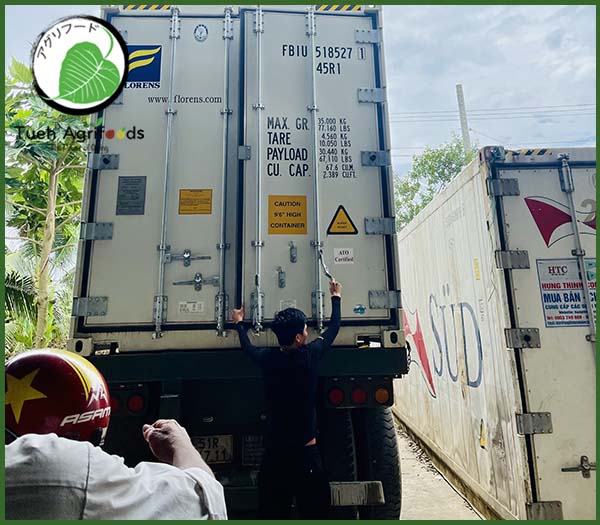 <b>TUE HUONG EXIMPORT CO., LTD</b><b>