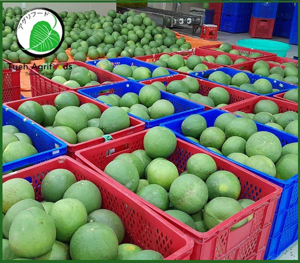 <b>TUE HUONG EXIMPORT CO., LTD</b><b>