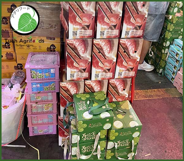 <b>TUE HUONG EXIMPORT CO., LTD</b><b>