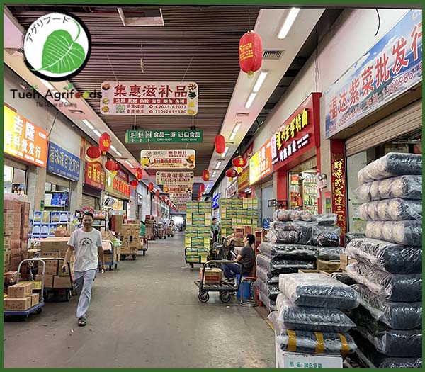 <b>TUE HUONG EXIMPORT CO., LTD</b><b>