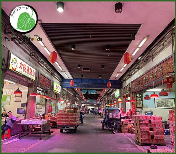 <b>TUE HUONG EXIMPORT CO., LTD</b><b>