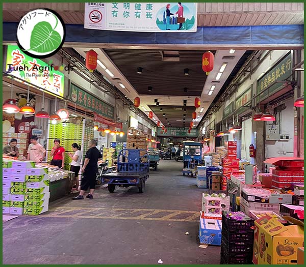 <b>TUE HUONG EXIMPORT CO., LTD</b><b>