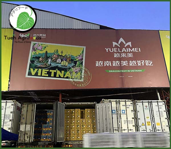 <b>TUE HUONG EXIMPORT CO., LTD</b><b>