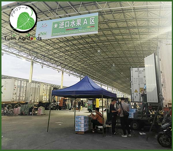 <b>TUE HUONG EXIMPORT CO., LTD</b><b>