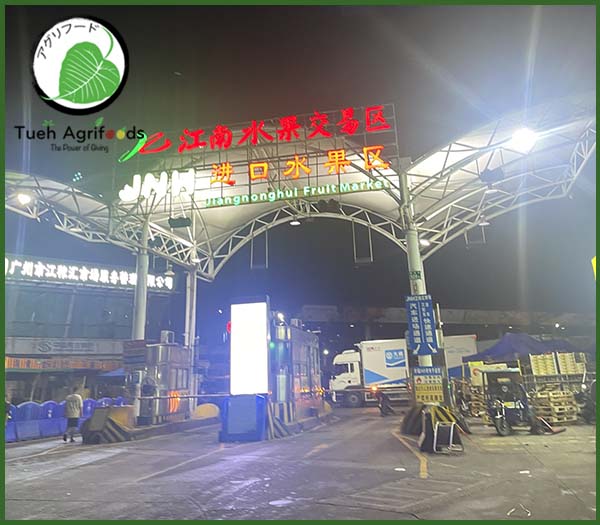 <b>TUE HUONG EXIMPORT CO., LTD</b><b>