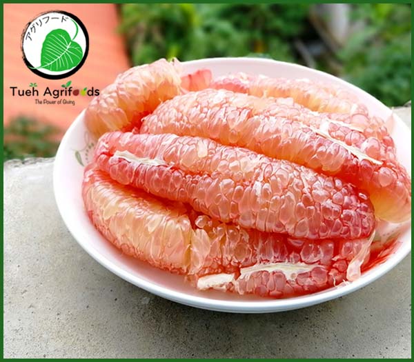 <b>TUE HUONG EXIMPORT CO., LTD</b><b>