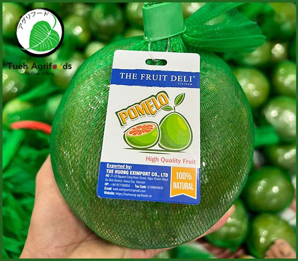 <b>TUE HUONG EXIMPORT CO., LTD</b><b>