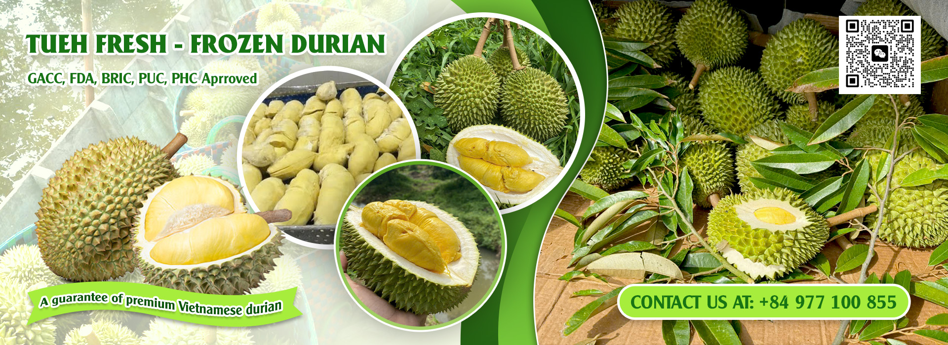 <b>TUE HUONG EXIMPORT CO., LTD</b><b>