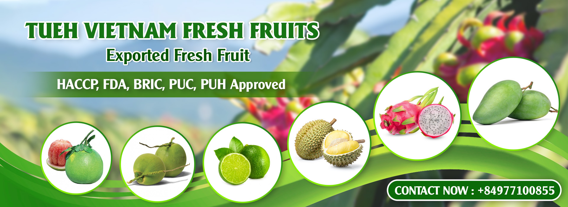 <b>TUE HUONG EXIMPORT CO., LTD</b><b>