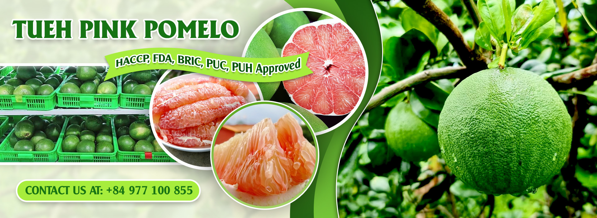 <b>TUE HUONG EXIMPORT CO., LTD</b><b>