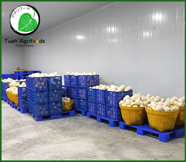 Fresh coconut />
                                                 		<script>
                                                            var modal = document.getElementById(