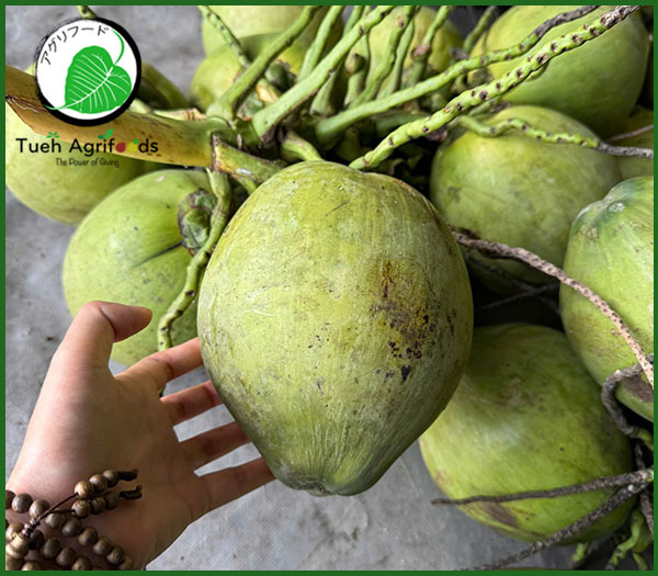 Fresh coconut