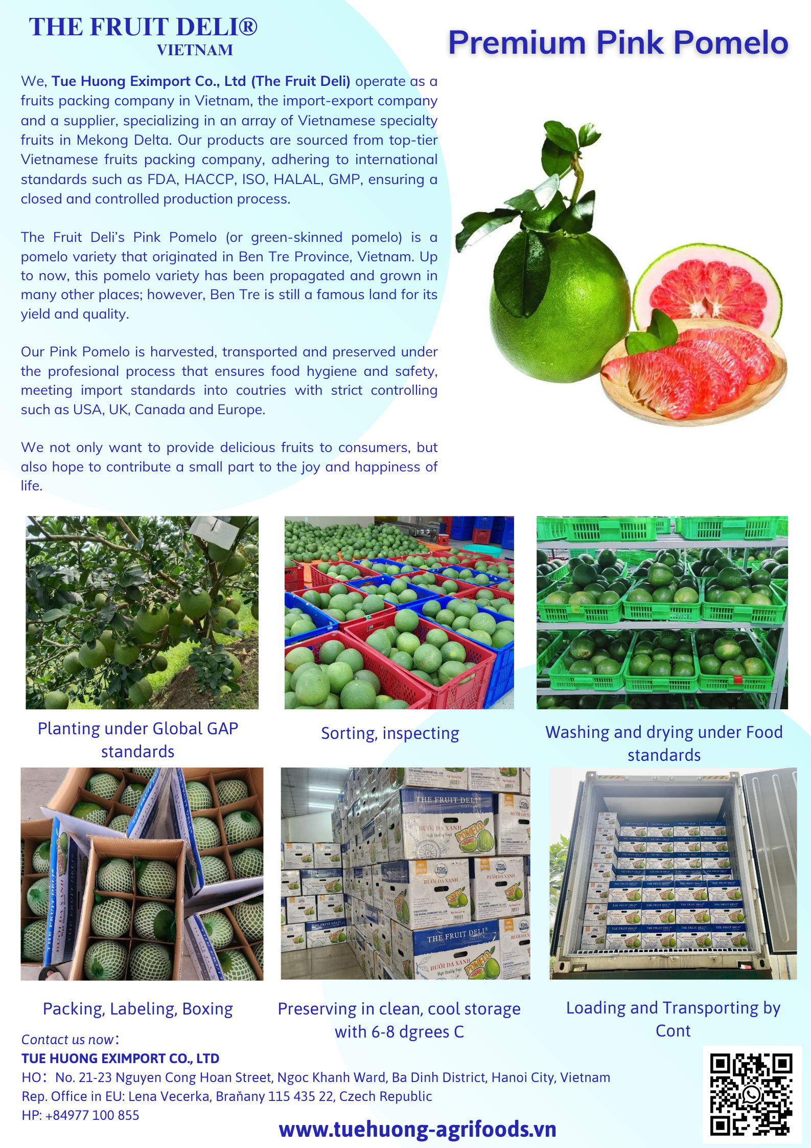 <b>TUE HUONG EXIMPORT CO., LTD</b><b>